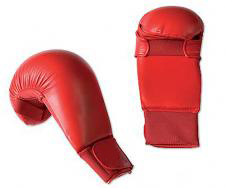 products/500_1361471890.jpg